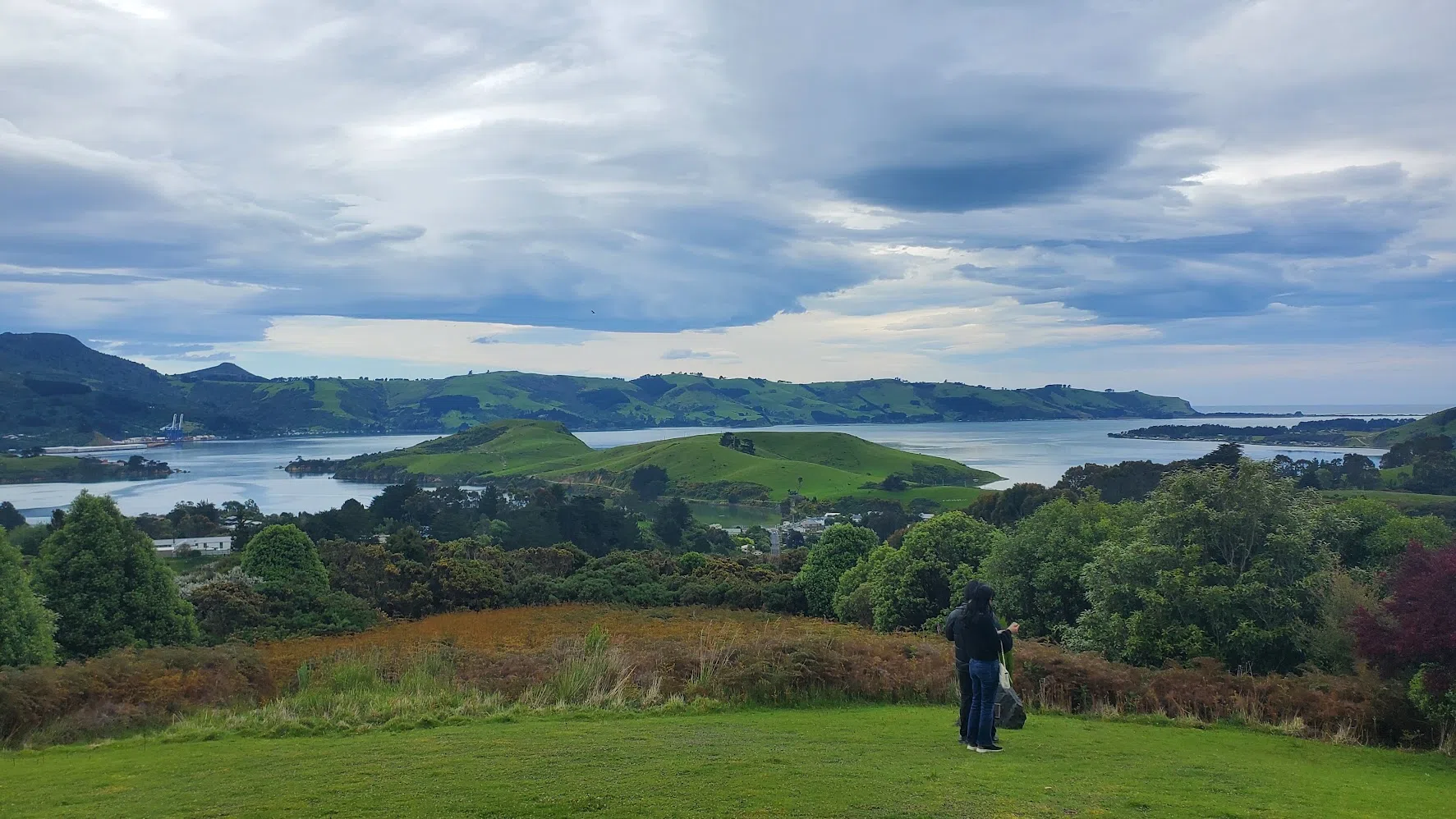 Otago Harbour